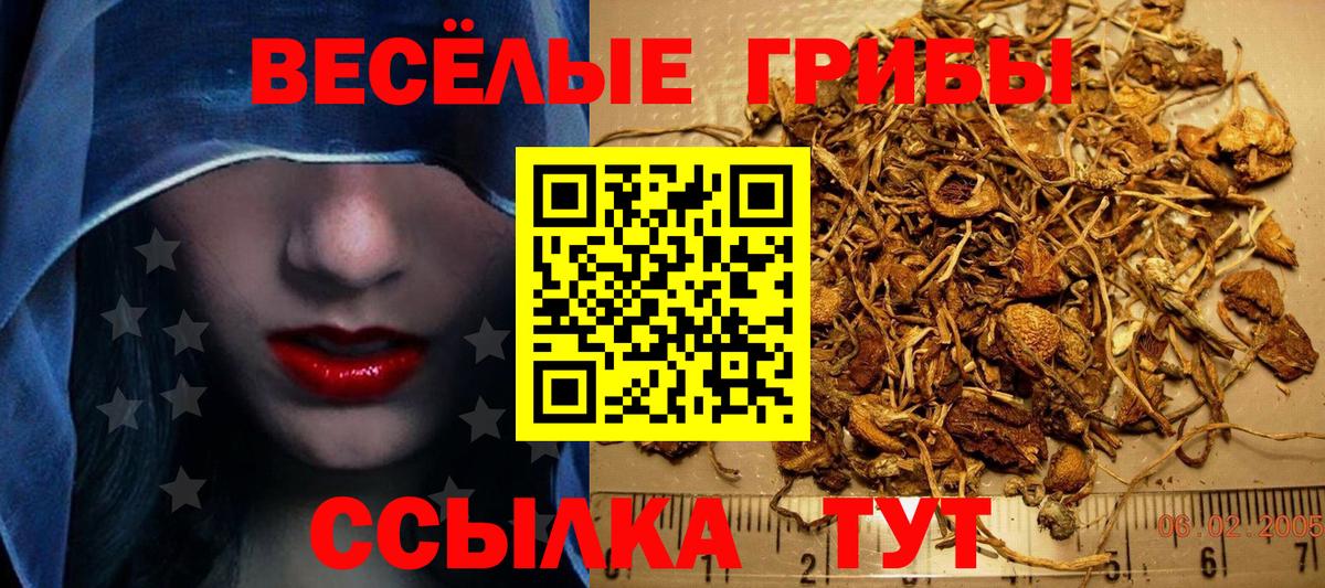Губкинский  Псилоцибиновые грибы Cubensis  Вход с VPN 
